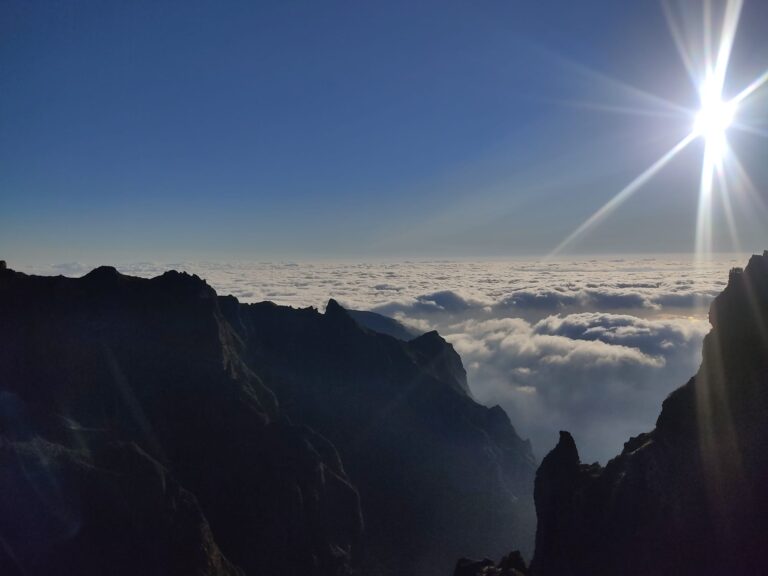 WhatsApp Image 2023 03 01 at 18.32.36 768x576